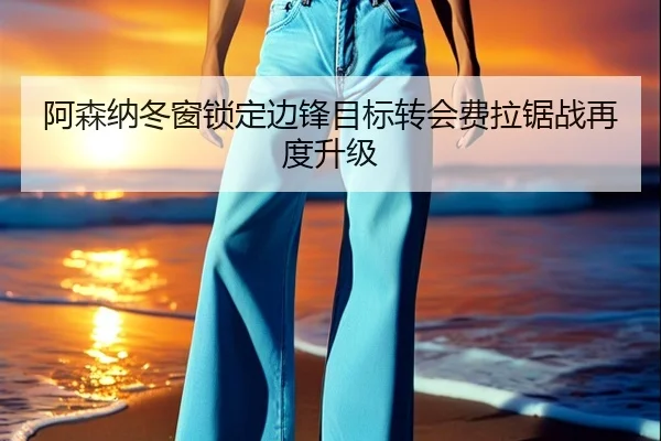 阿森纳冬窗锁定边锋目标转会费拉锯战再度升级 - XINGCAISPORTS