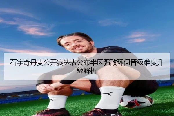 石宇奇丹麦公开赛签表公布半区强敌环伺晋级难度升级解析 - XINGCAISPORTS